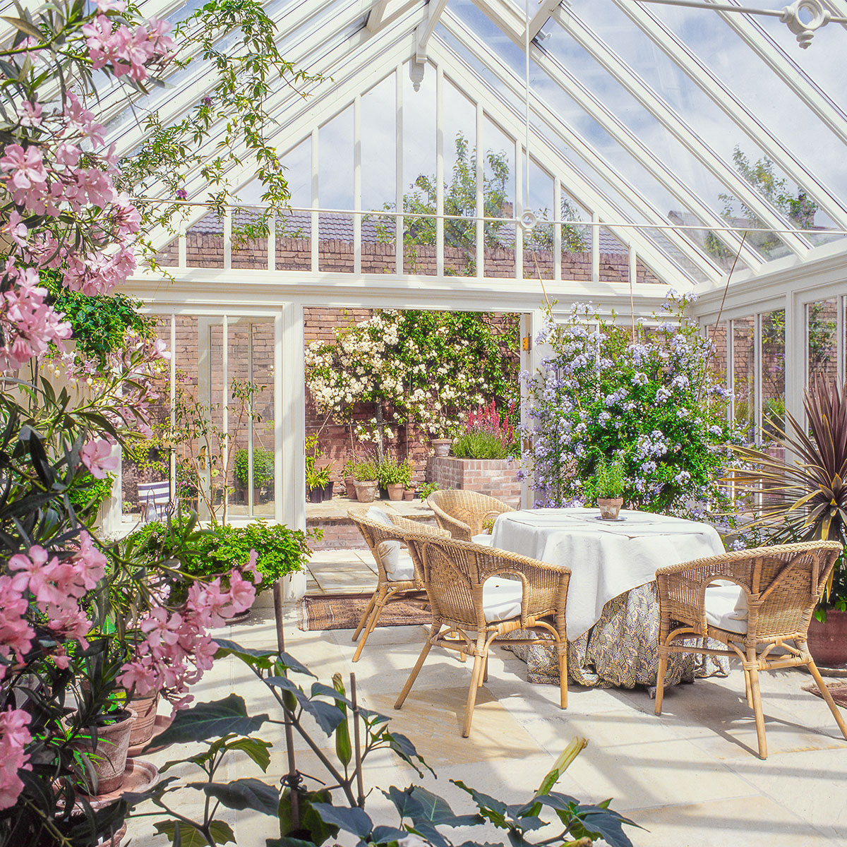 Bright plant filled conservatory