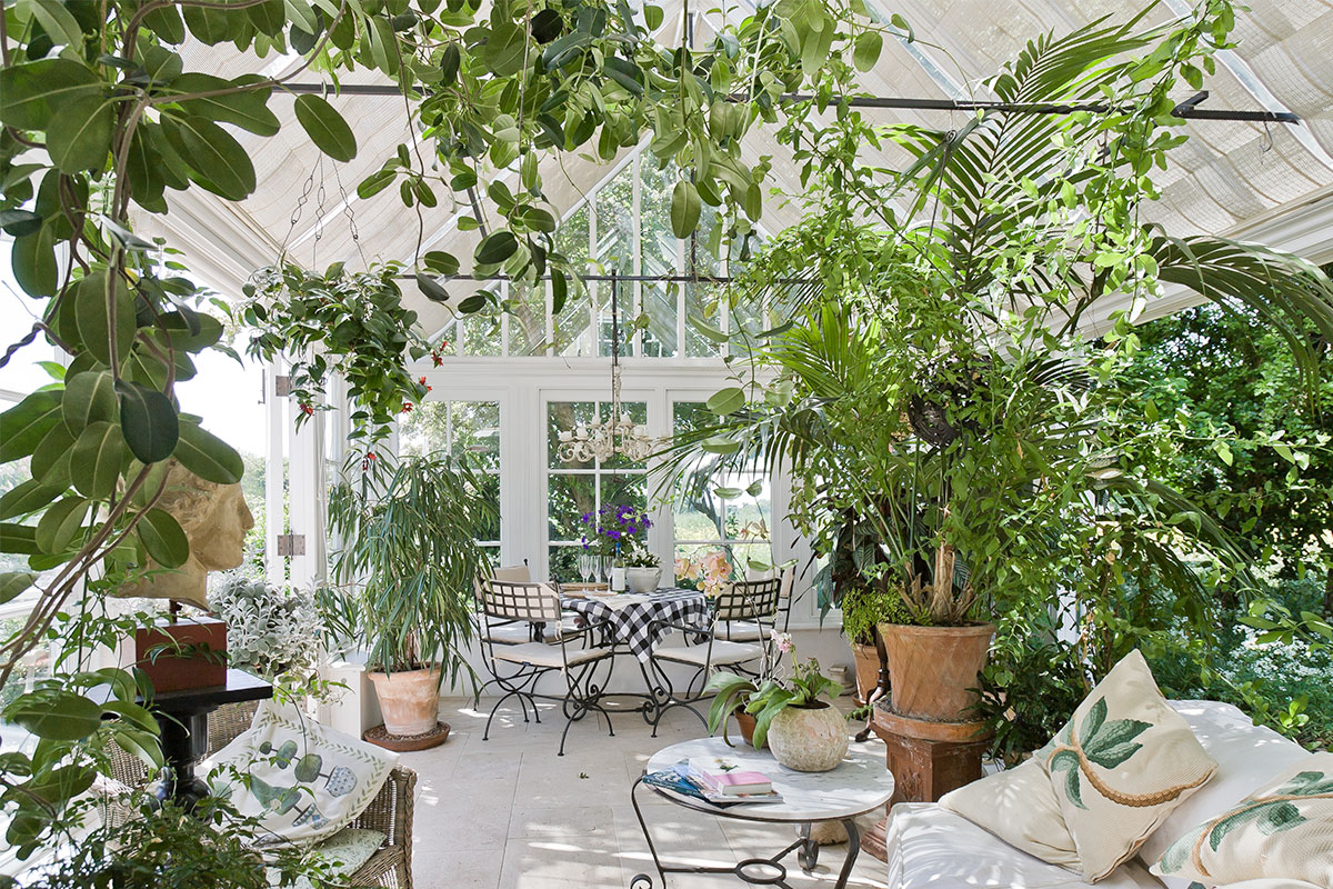 Conservatory filled with plants